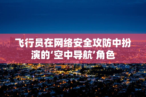 飞行员在网络安全攻防中扮演的‘空中导航’角色