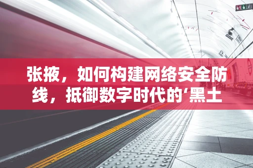 张掖，如何构建网络安全防线，抵御数字时代的‘黑土’侵袭？