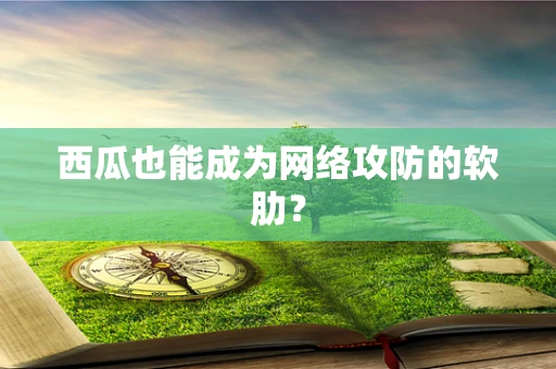 西瓜也能成为网络攻防的软肋？