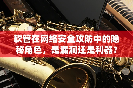软管在网络安全攻防中的隐秘角色，是漏洞还是利器？