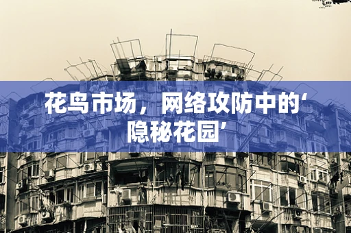 花鸟市场，网络攻防中的‘隐秘花园’
