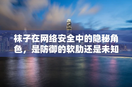 袜子在网络安全中的隐秘角色，是防御的软肋还是未知的武器？