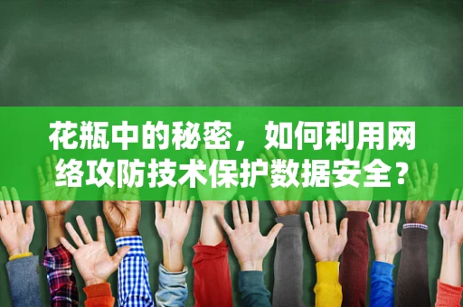花瓶中的秘密，如何利用网络攻防技术保护数据安全？