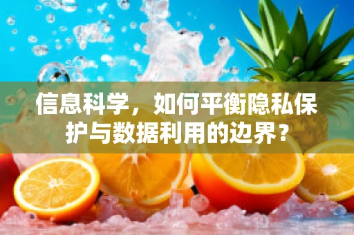 信息科学，如何平衡隐私保护与数据利用的边界？