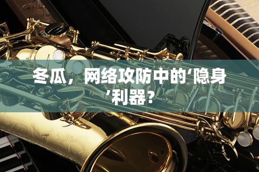 冬瓜，网络攻防中的‘隐身’利器？
