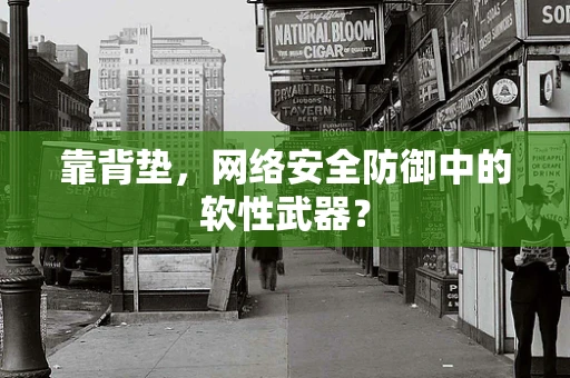 靠背垫，网络安全防御中的软性武器？