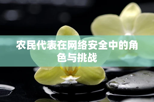 农民代表在网络安全中的角色与挑战