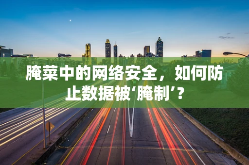 腌菜中的网络安全，如何防止数据被‘腌制’？