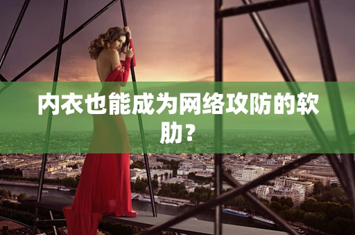 内衣也能成为网络攻防的软肋？