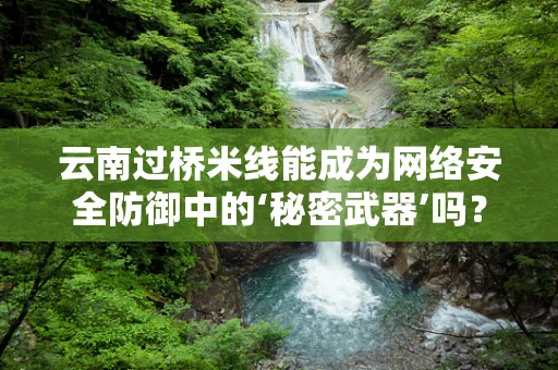 云南过桥米线能成为网络安全防御中的‘秘密武器’吗？