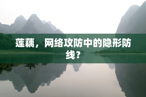 莲藕，网络攻防中的隐形防线？