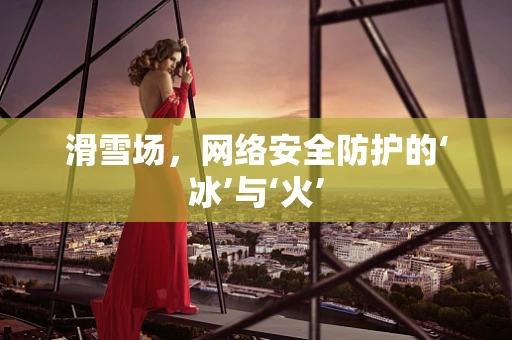 滑雪场，网络安全防护的‘冰’与‘火’
