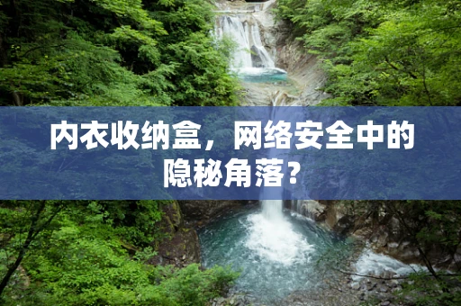 内衣收纳盒，网络安全中的隐秘角落？