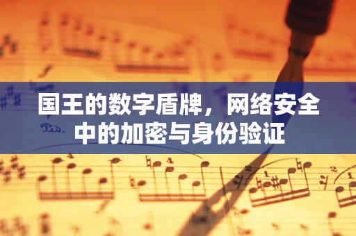 国王的数字盾牌，网络安全中的加密与身份验证