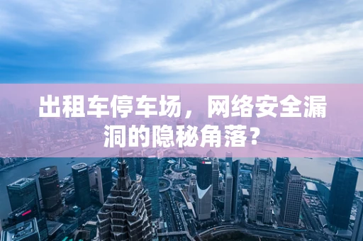 出租车停车场，网络安全漏洞的隐秘角落？