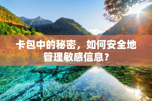 卡包中的秘密，如何安全地管理敏感信息？