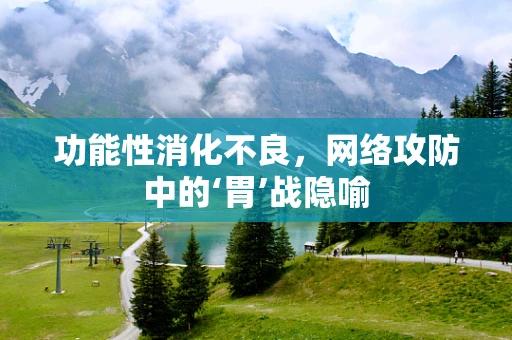 功能性消化不良，网络攻防中的‘胃’战隐喻