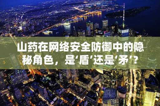 山药在网络安全防御中的隐秘角色，是‘盾’还是‘矛’？