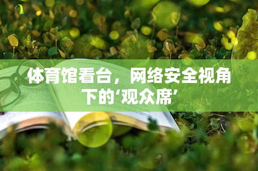 体育馆看台，网络安全视角下的‘观众席’