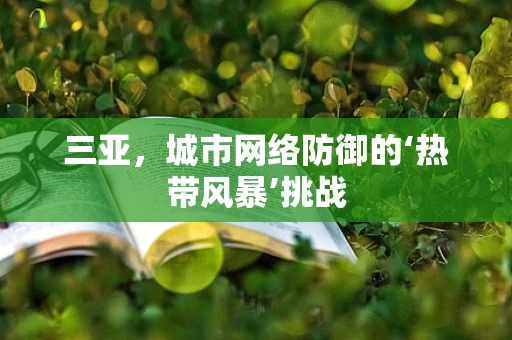 三亚，城市网络防御的‘热带风暴’挑战