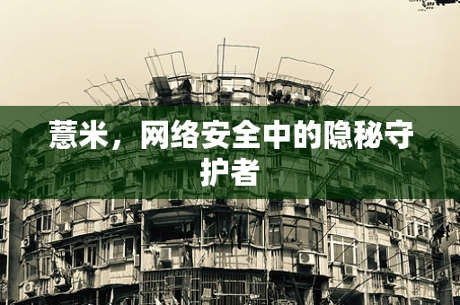 薏米，网络安全中的隐秘守护者