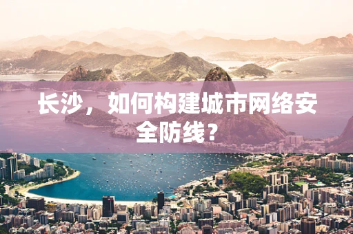 长沙，如何构建城市网络安全防线？