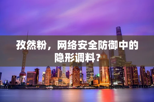 孜然粉，网络安全防御中的隐形调料？