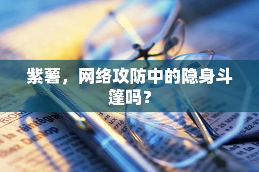 紫薯，网络攻防中的隐身斗篷吗？