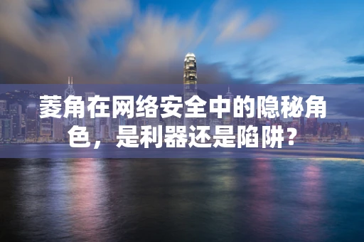 菱角在网络安全中的隐秘角色，是利器还是陷阱？