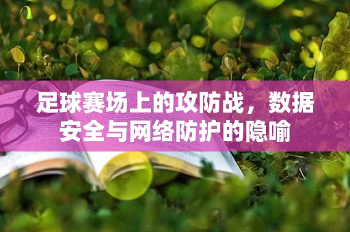 足球赛场上的攻防战，数据安全与网络防护的隐喻