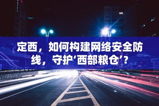 定西，如何构建网络安全防线，守护‘西部粮仓’？