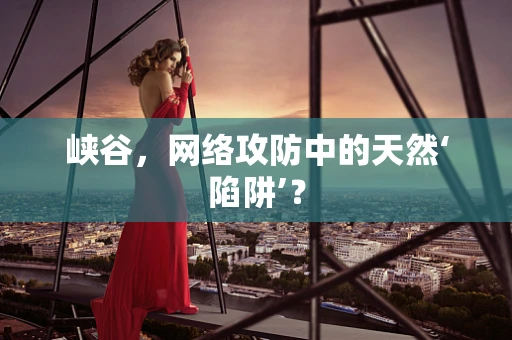 峡谷，网络攻防中的天然‘陷阱’？