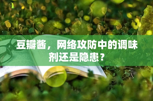 豆瓣酱，网络攻防中的调味剂还是隐患？