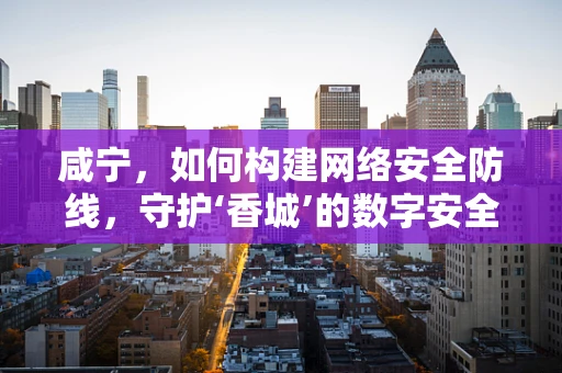 咸宁，如何构建网络安全防线，守护‘香城’的数字安全？