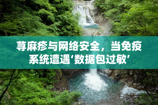 荨麻疹与网络安全，当免疫系统遭遇‘数据包过敏’