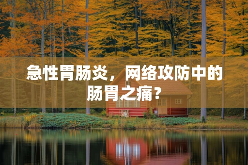 急性胃肠炎，网络攻防中的肠胃之痛？