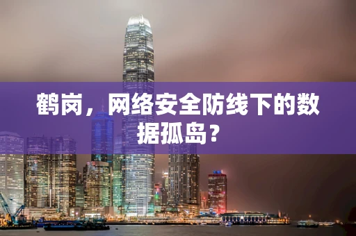 鹤岗，网络安全防线下的数据孤岛？