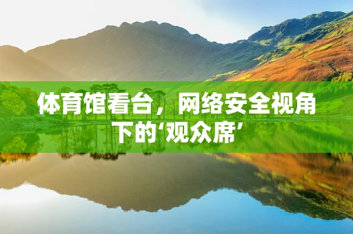 体育馆看台，网络安全视角下的‘观众席’
