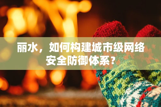 丽水，如何构建城市级网络安全防御体系？