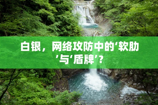 白银，网络攻防中的‘软肋’与‘盾牌’？