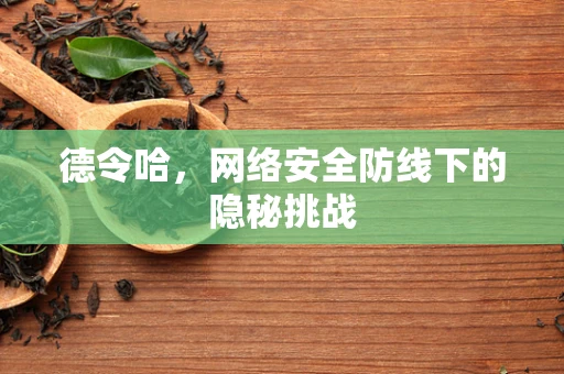 德令哈，网络安全防线下的隐秘挑战
