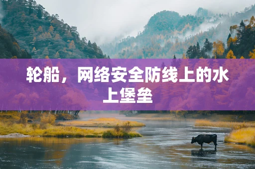 轮船，网络安全防线上的水上堡垒