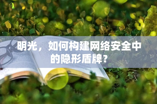 明光，如何构建网络安全中的隐形盾牌？