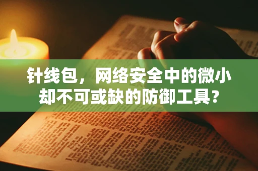 针线包，网络安全中的微小却不可或缺的防御工具？