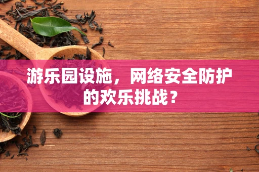 游乐园设施，网络安全防护的欢乐挑战？