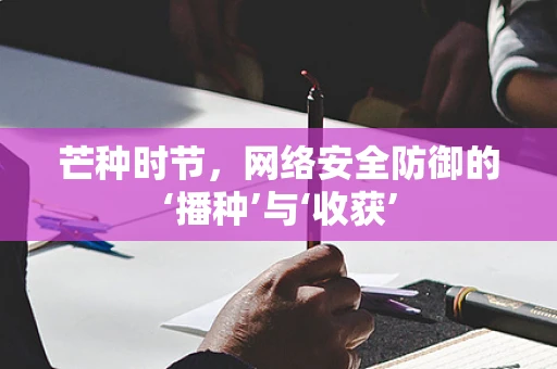 芒种时节，网络安全防御的‘播种’与‘收获’