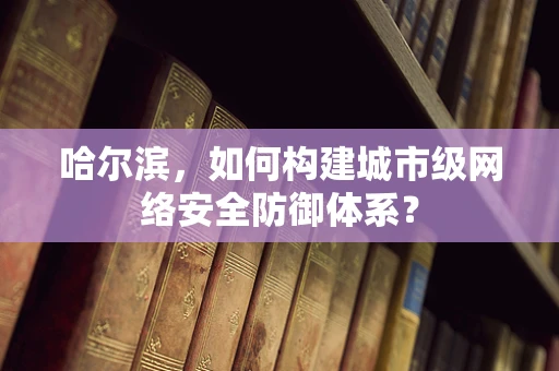 哈尔滨，如何构建城市级网络安全防御体系？