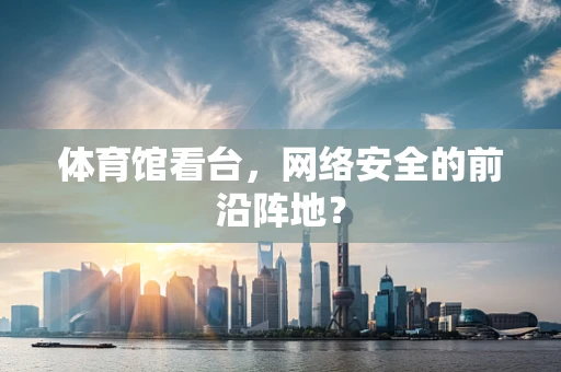 体育馆看台，网络安全的前沿阵地？