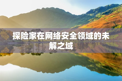 探险家在网络安全领域的未解之域