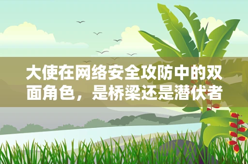 大使在网络安全攻防中的双面角色，是桥梁还是潜伏者？